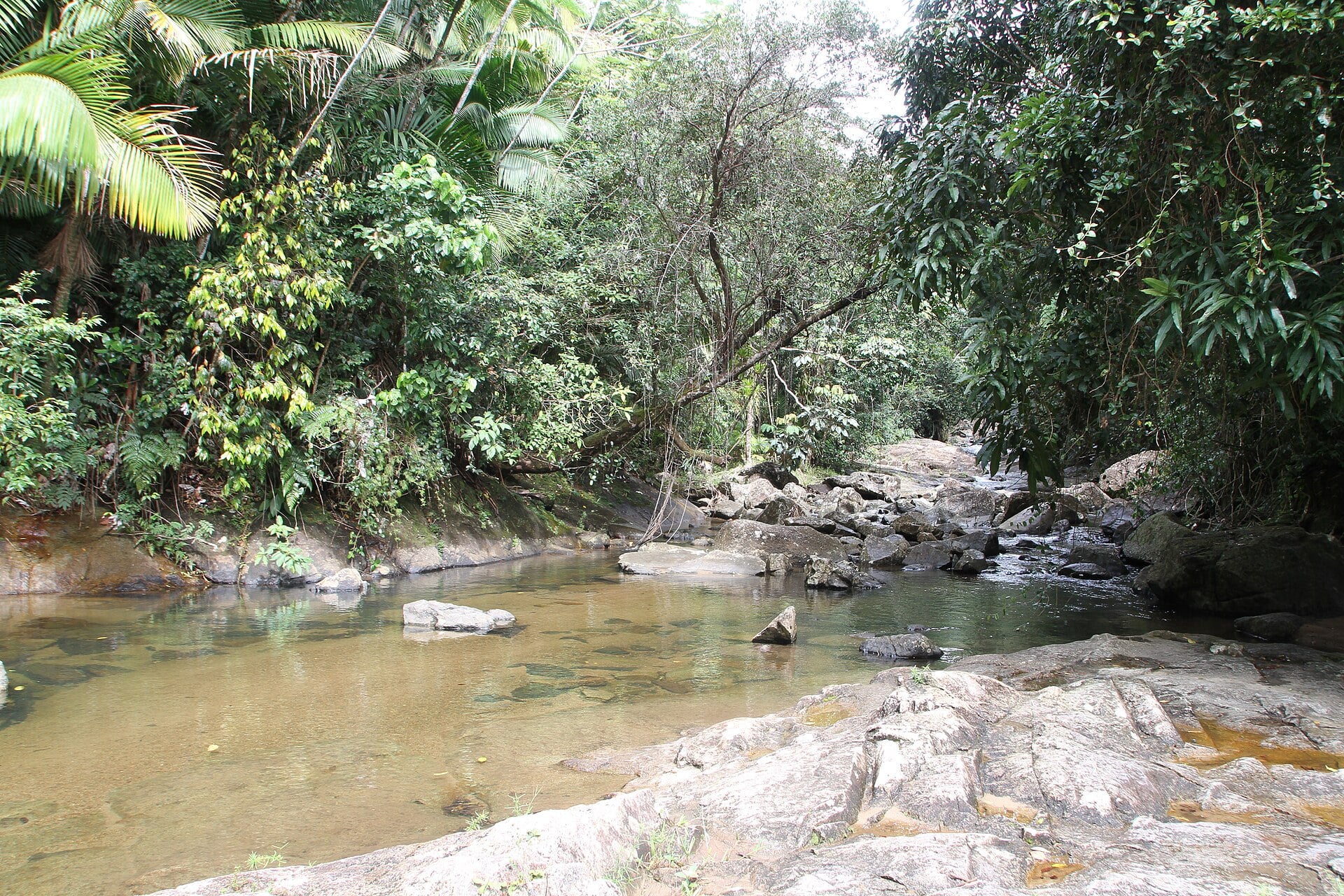 Ohio Tourist, 33, Dies in Puerto Rico River