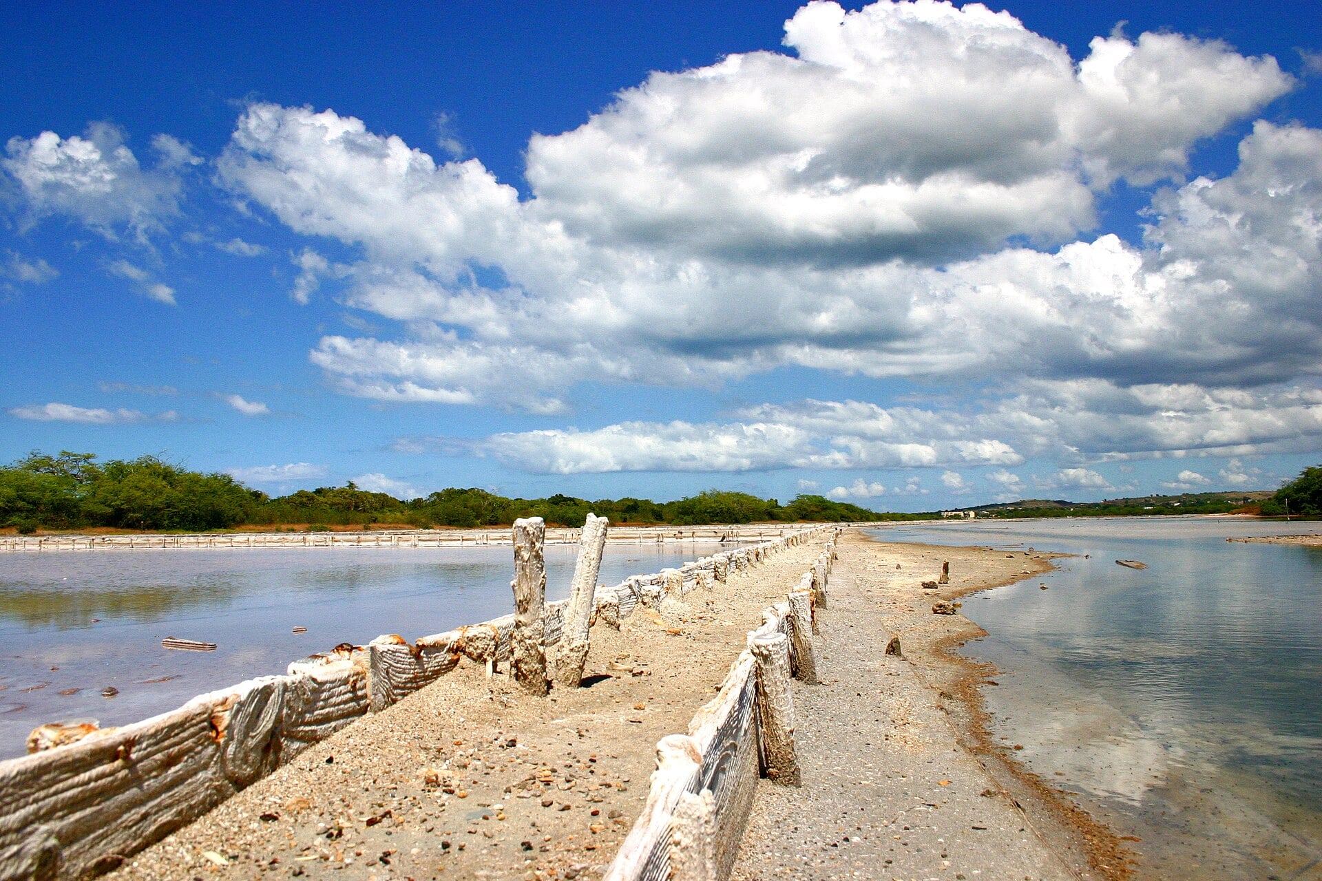 Puerto Rico Bird Flu Quarantine: What It Means