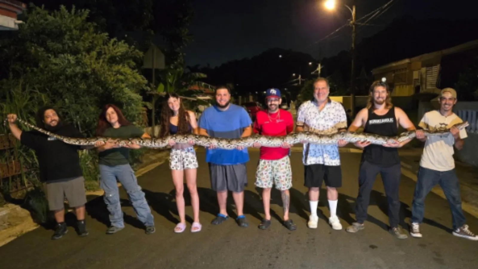 Snake Wrangler Catches Record-Breaking 18-Foot Python in Puerto Rico After It Targets a Pet Cat